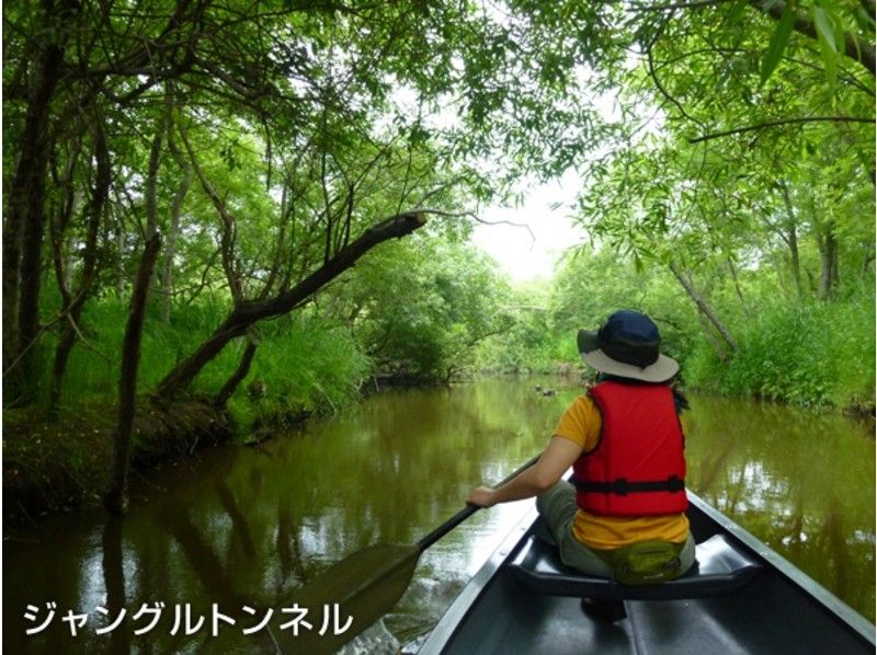 【北海道・釧路】一番人気!カヌー釧路湿原満喫コース