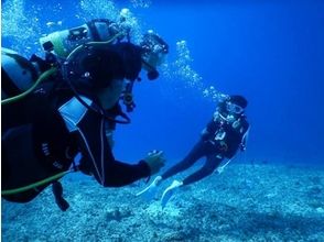 [โอกินาวา Miyakojima แฟนดำน้ำดำน้ำ 2-3 สำหรับการได้รับใบอนุญาต