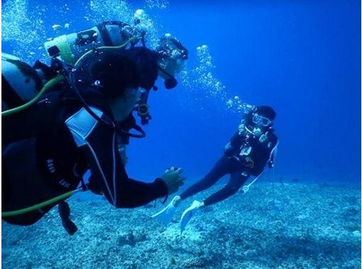 【沖縄・宮古島】ファンダイビング　ライセンス取得者向け2〜3ダイブの画像