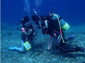 [沖繩宮古島]潛水執照課程開放水域（OW）