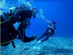 【冲绳·宫古岛】cave 深潜 执照取得 2到3次潜水