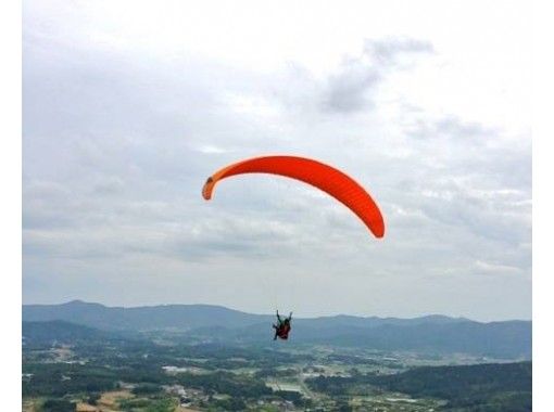 パラグライダー 周辺 備品 新品 送料込み ADVNCE 安い順