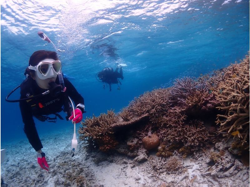 【北海道・SUP体験】透明度の高い支笏湖の湖面をクルージング!SUP体験(半日コース)の画像