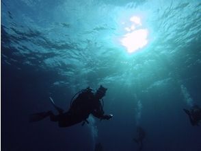 [Okinawa ・ Yonaguni] We respond to any request, topographical group, watch group! 1 day fan Diving