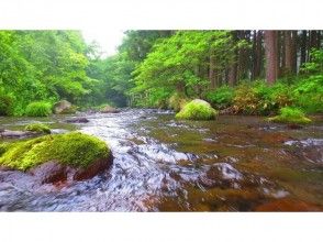 【青森・奥入瀬渓流】釣りの入門編！奥入瀬エリアで川釣り体験☆2時間プラン