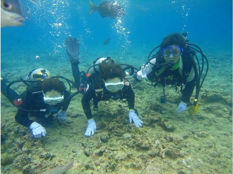 【沖縄・那覇】美しい海でダイバーになろう！ダイビングライセンス取得コース！！