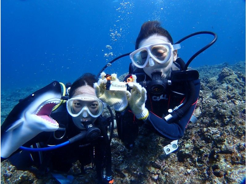 【北海道・SUP体験】透明度の高い支笏湖の湖面をクルージング！SUP体験（半日コース）の画像