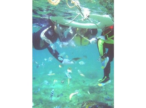 [Okinawa Prefecture Nanjo] uninhabited island snorkeling in the <fine Island>の画像