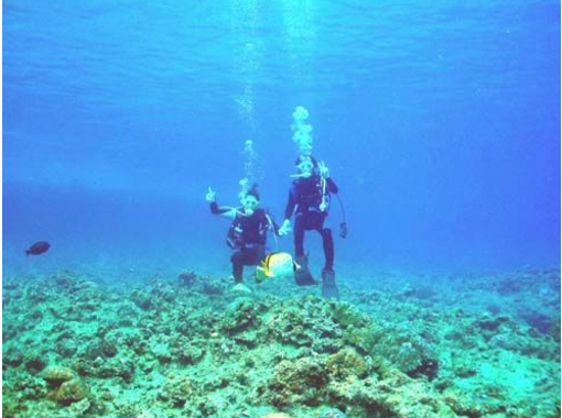 [Okinawa Prefecture, whole island] Short-term intensive type 2.5 day, PADI open water diver Getting licensesの画像