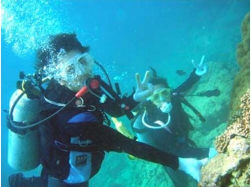 【 冲绳县·南城市】无人居住的体验在逗号岛（海滩） 深潜の画像