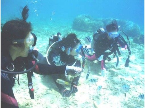 [冲绳县，全岛]一对一！一个悠闲的3天PADI开放水域潜水员执照取得の画像