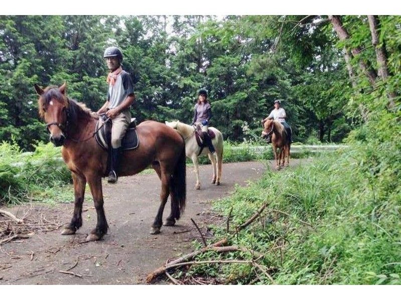 Activities around Fukuroda Falls