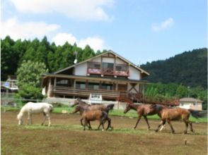 風来里馬小屋