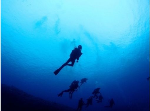 【沖縄・与那国】ライセンスがなくても大丈夫！海底遺跡もご案内♪体験ダイビングの画像