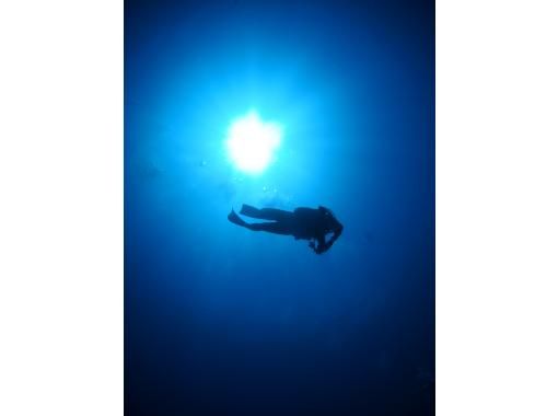 [Okinawa ・ Ishigaki island]Ishigaki island Ranked up in the sea of ♪ ADVANCED Open Water Diver course (2 days)の画像