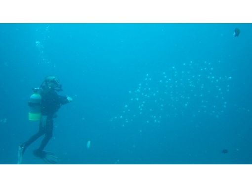 [沖繩那霸2海灘大滿意潛水の画像