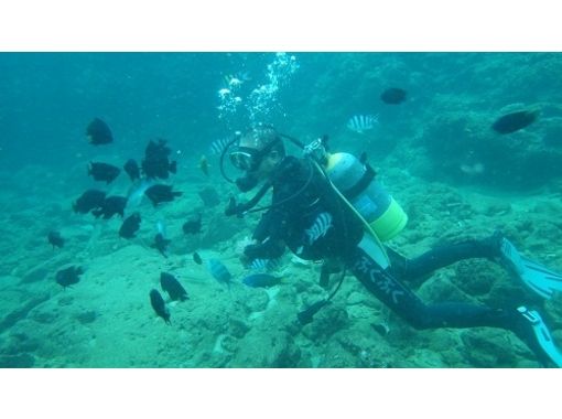 [Okinawa Naha] Beginners welcome! Diving!の画像