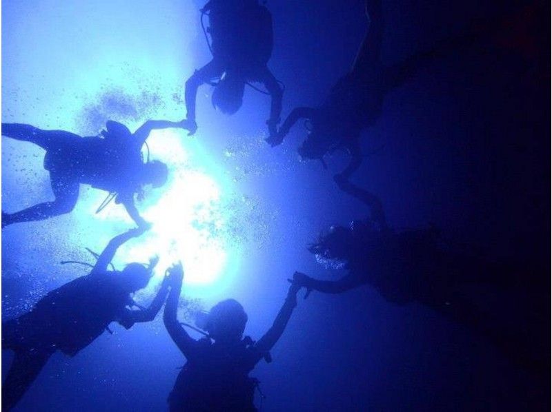 [Aichi From] beginners welcome! Experience Diving(2 dives)の紹介画像