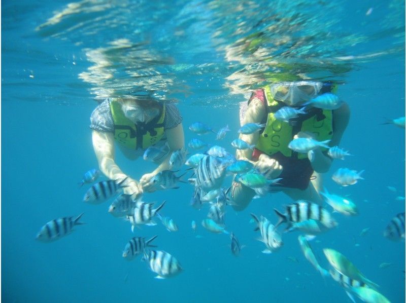 【沖縄・瀬底島】美ら海水族館近く！車で行ける離島　瀬底島バナナボートで行くシュノーケリングツアー