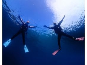 [Shizuoka/Izu Kogen] Individuals are welcome! Enjoy the world of a real aquarium! Transfer photos and videos taken underwater to your smartphone on the spot! Towel and sandals rental included♪の画像