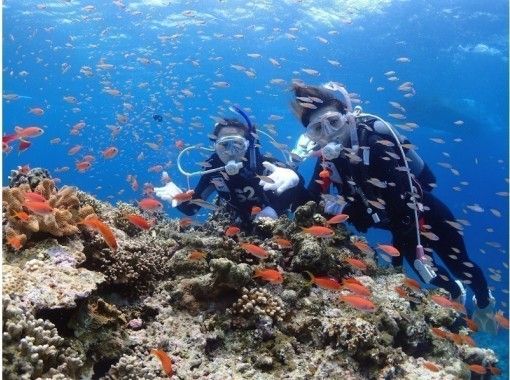 [Ishigaki Island] Experience diving in the crystal clear sea ♪ You can also enjoy coral and clownfish! Beginners can feel at ease with the careful support of a completely small group system! Full of amenities!の画像