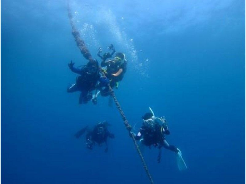 [Yugawara, Manazuru, Odawara] PADI Open Water Diver acquisition Course (Free plan)の紹介画像