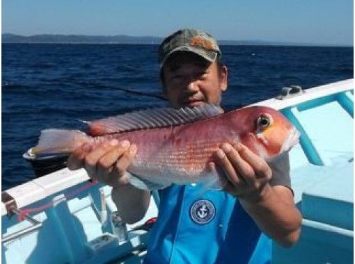 千葉 南房総 釣り人の憧れ アマダイ を釣ろう 初心者もできる五目釣りプラン アクティビティジャパン 千葉 南房総 釣り人の憧れ アマダイ を釣ろう 初心者もできる五目釣りプラン アクティビティジャパン
