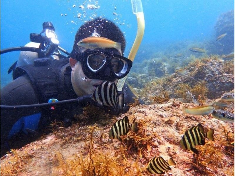 【仙台発・山形】ダイバーデビュー!1泊2日のオープンウォーター講習(ライセンス講習)の紹介画像