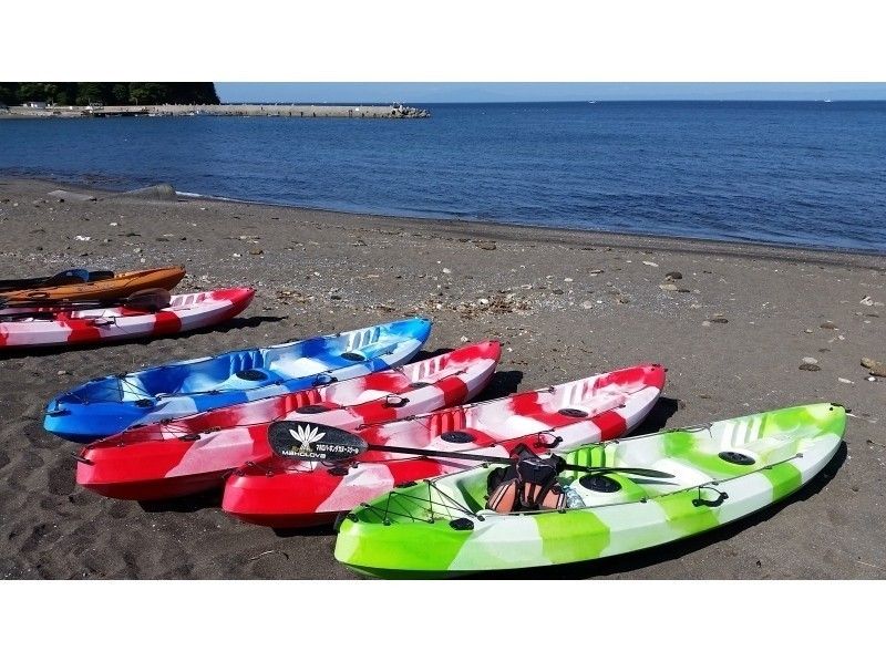 【神奈川県・三浦半島】初心者歓迎☆シーカヤックで三浦半島海の散策♪ *2~9名様少人数向け*