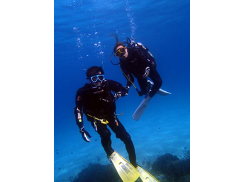 【高知県　柏島】ライセンスが無くても大丈夫！体験ダイビングで美しい海を散策