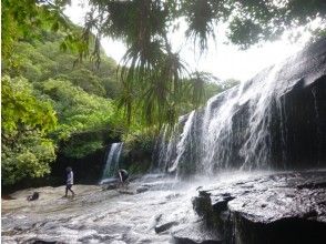 [Okinawa Iriomote Island] Canoe & trekking! Waterfall course of hidden scenic spots Sangara (half day course)