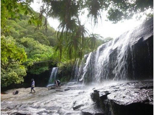 [Okinawa Iriomote Island] Canoe & trekking! Waterfall course of hidden scenic spots Sangara (half day course)の画像