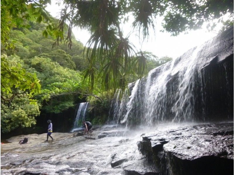[Okinawa Iriomote Island] Canoe & trekking! Waterfall course of hidden scenic spots Sangara (half day course)の紹介画像