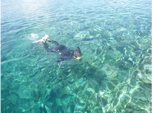 [冲绳·西表岛（Iriomote Island）在珊瑚礁蔓延的翡翠海中的经验深潜（半天课程）の画像