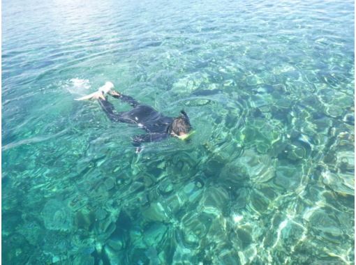 [โอกินาว่า・ เกาะอิริโอะโมะเตะ] สัมผัสประสบการณ์ในทะเลมรกตที่มีแนวปะการังแพร่กระจายดำน้ำ(หลักสูตรหนึ่งวัน)の画像