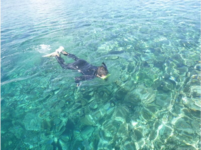 [โอกินาว่า・ เกาะอิริโอะโมะเตะ] สัมผัสประสบการณ์ในทะเลมรกตที่มีแนวปะการังแพร่กระจายดำน้ำ(หลักสูตรหนึ่งวัน)の紹介画像
