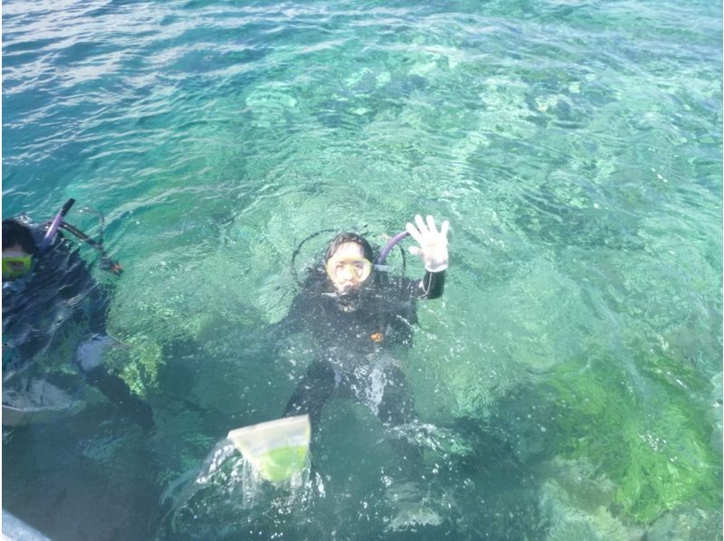 [Okinawa ・ Iriomote Island] A fan is on Iriomote Island where the world's leading corals inhabit Diving(One day course)の紹介画像
