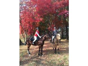 [Yamanashi / Kobuchisawa] Outdoor riding! First horse riding plan lesson 30 minutes + outside ride 30 minutesの画像