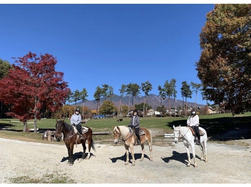 [Yamanashi / Kobuchisawa] Outdoor riding! First horse riding plan lesson 30 minutes + outside ride 30 minutesの紹介画像