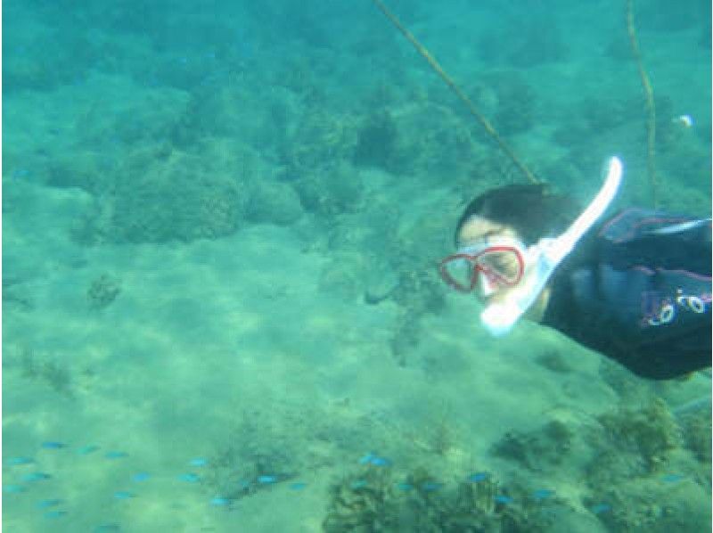 [Shizuoka ・ Nishiizu] Sea play snorkel experience (half-day course)の紹介画像