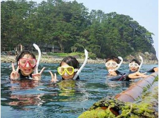 【静岡・西伊豆】海遊びシュノーケル体験（1日コース）の画像