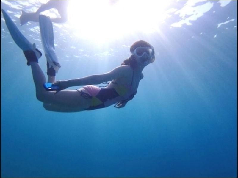 [沖縄-石垣島]可以隨意！浮潛經驗（半天課程）の紹介画像