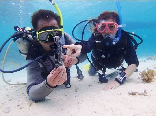 [沖繩石垣島]試圖在今年得到了什麼！潛水執照的培訓課程の画像