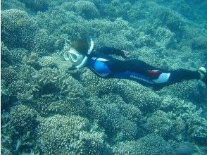 【沖縄・西表島】サンゴ礁でできた奇跡の島、バラス島で