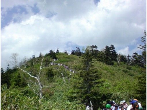 [นากาโนะ/ Shinshu Shinano] เพลิดเพลินไปกับ“ Kurohimeyama trekking” พร้อมไกด์มืออาชีพสำหรับคู่รักและเพื่อนฝูง! 2 คนの画像