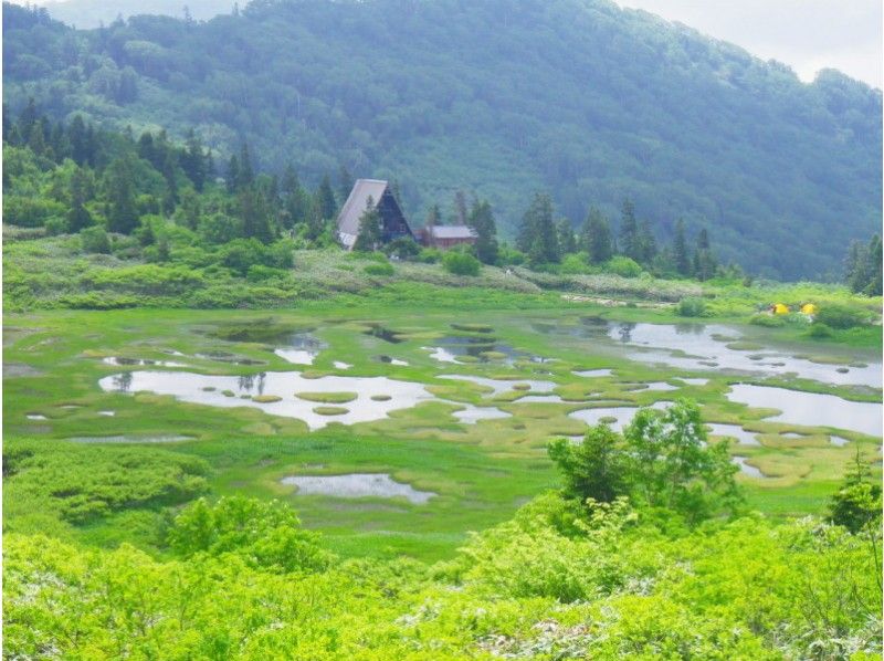 【長野・信州信濃】トレッキング(火打山日帰りプラン)の紹介画像