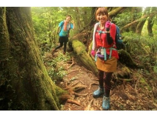 [คาโกชิมา/ยูกุชิมะ] ผ่อนคลายกับการเดินป่าบนต้นไม้ใหญ่ (1 วัน)の画像