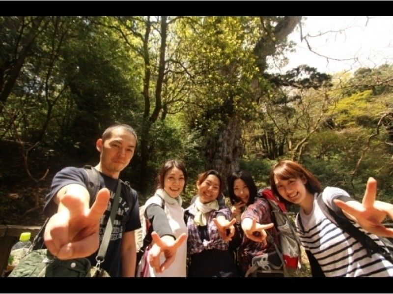 [가고시마·야쿠시마] 단독 그룹 계획 "조몬 삼나무 1 일 등산 코스"(전세)の紹介画像