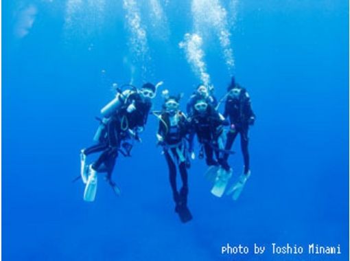 [오가사와라 · 치치 지마] 오가사와라 마루 출항 일 오전 발 · 입항 일 오후 출발 체험 다이빙 투어の画像