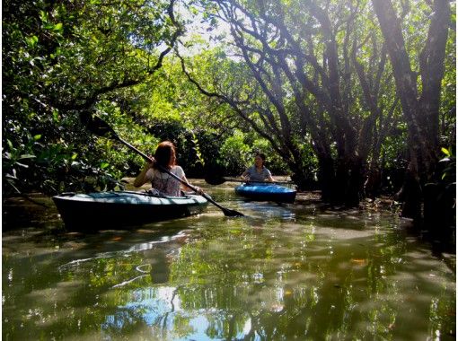 ดำน้ำและพายเรือแคนู คอรัล ชายา